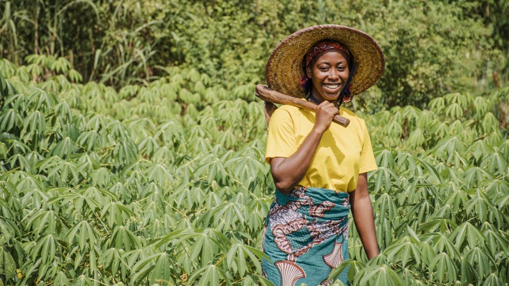 Farm workers harvesting fresh produce in the field