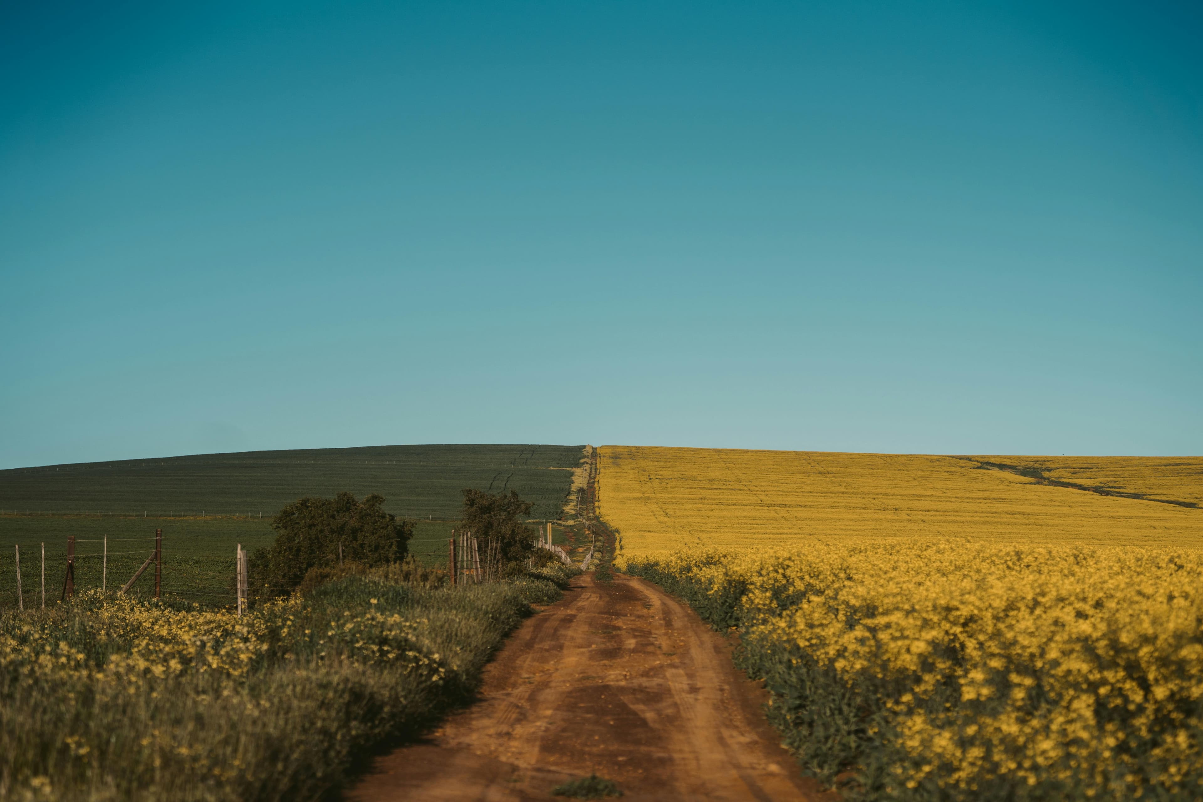Field supervisor documenting harvest handling to keep a traceable record